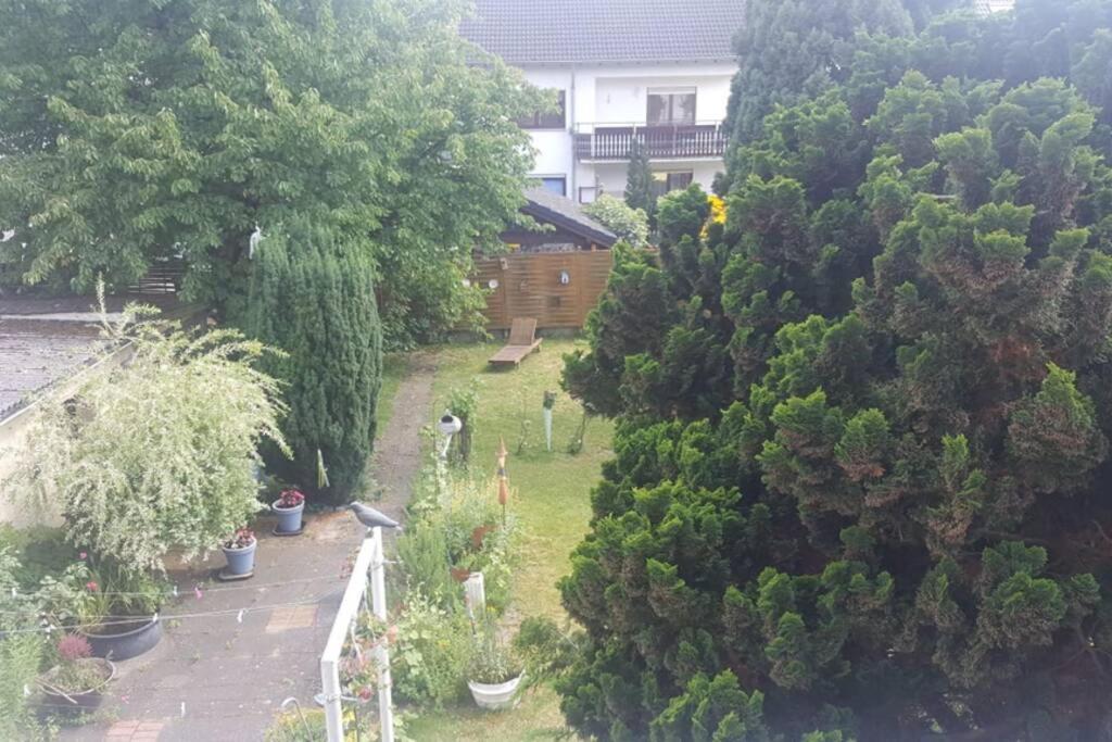Ferienwohnung Maria Magdalena 바트노이에나르아르바일러 외부 사진